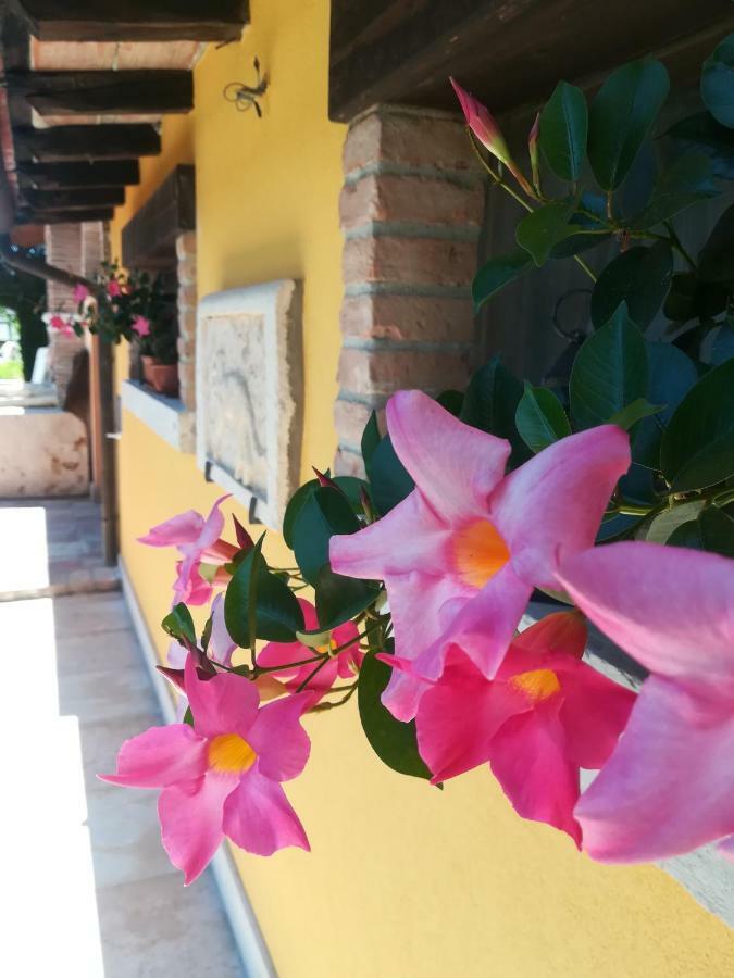 La Brigata Apartments Yellow House カヴァッリーノ・トレポルティ エクステリア 写真